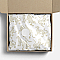 "Golden Cheetahs" Tissue Paper