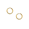 Extra Small Yellow Gold Endless Hoops